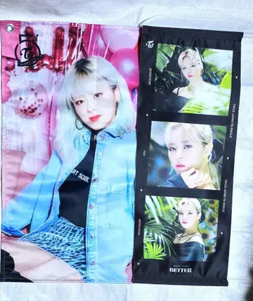 TWICE 정연 태피스트리 2세트