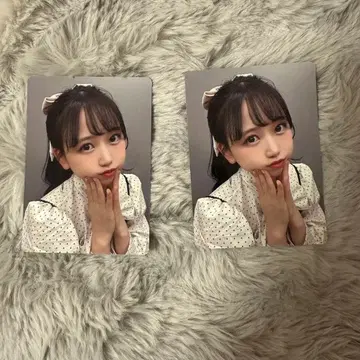 마츠모토 카렌 트레이딩 카드 부도칸