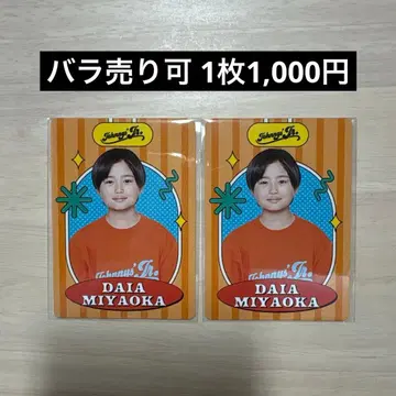 미야오카 다이아 프로필 카드 프로카