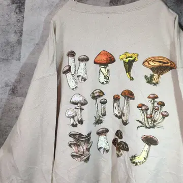 맨투맨 트레이닝복 베이지 M A28,4