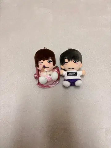 타카하시 쿄헤이 치비누이