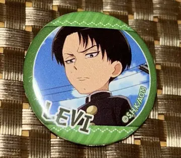 진격의 거인 리바이 거인중학교 캔뱃지
