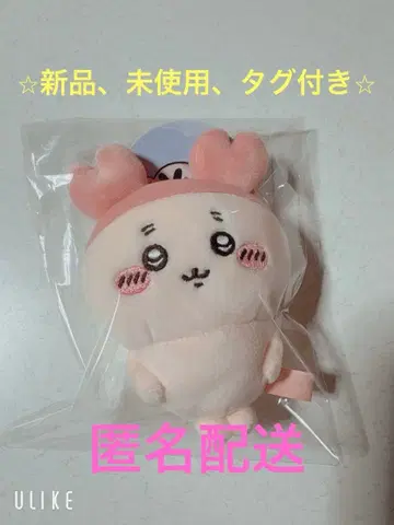 치이카와 (먼작귀) 헌책방 카니짱 봉제 인형 마스코트