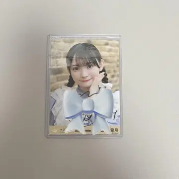 니어야/야마노 아즈키/ 3개월 2/직필