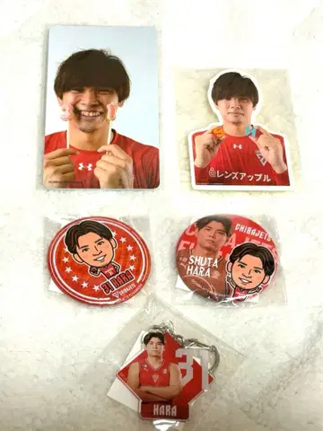 치바 제츠 하라 슈타 굿즈 묶음 판매 회장 한정판 가챠 온라인 복권