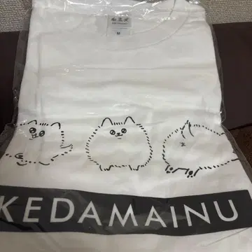 보풀견 T셔츠 M 사이즈