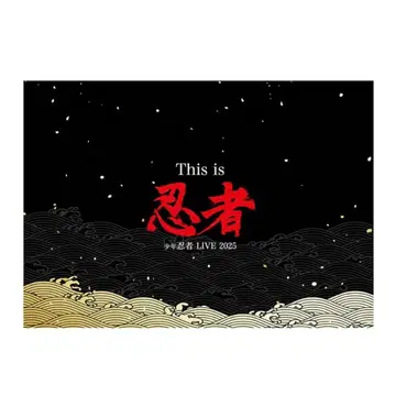 소년 닌자 인 컬렉션 카드 빠짐 없음