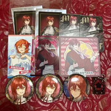 홀로스타 홀로스타즈 미야비 AGF GiGO