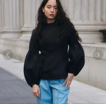 LE CIEL BLEU 제브라 자카드 블라우스