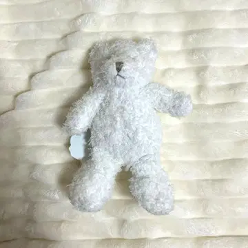 젤라또피케 봉제 인형 곰 그린