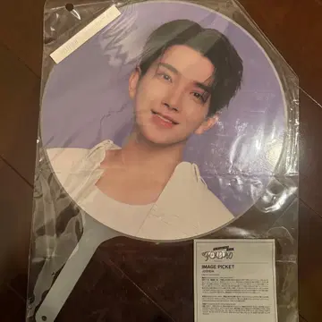 SEVENTEEN 조슈아 부채