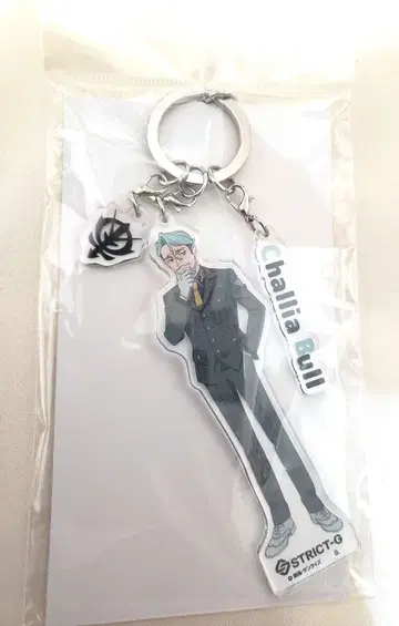STRICT-G [기동전사 건담 GQ] 아크릴 키링 샤리아 불