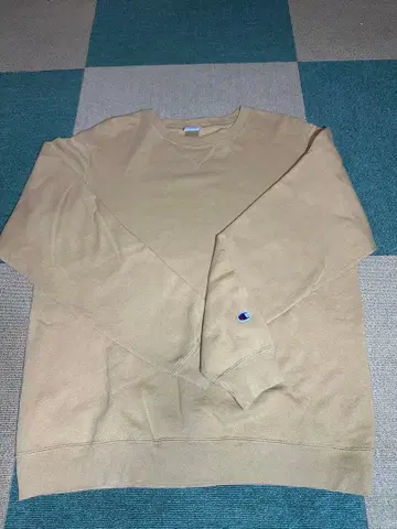 Champion 테리 플리스 Made in USA 속기모