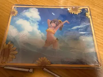 여름색 축제 엽서 프레임