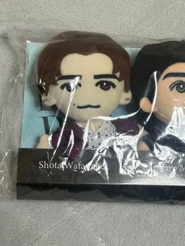 DREAMBOYS SnowMan 와타나베 쇼타 봉제 인형