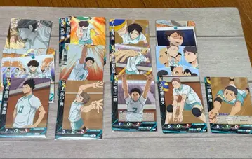 하이큐 바보카 BREAK 오이카와 토오루 P 아오바죠사이 15장 세트