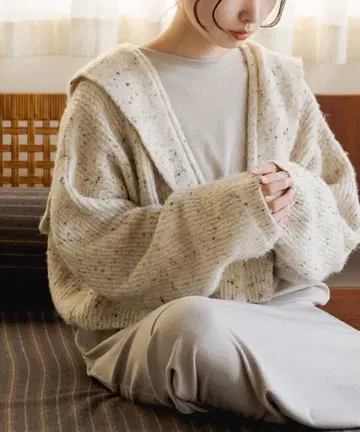 Kastane 카라 부착 크롭 가디건