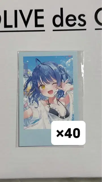 아마미야 코코로 생일 2025 폴라로이드