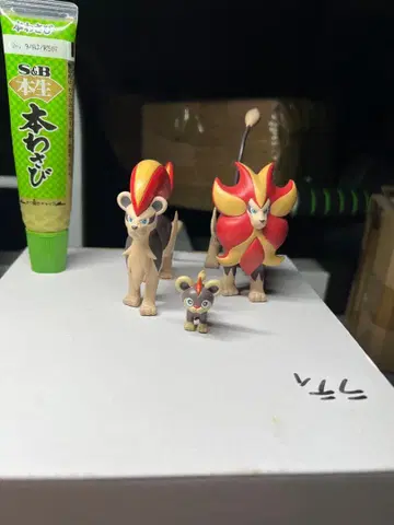 포켓몬 스케일 월드 카엔진 진화