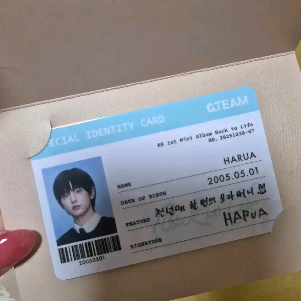 m*u様 &TEAM HARUA IDカード &team &team pop up ID card angel card Harua | Bunjang Global