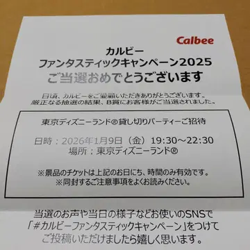 도쿄 디즈니랜드 대관 2인분