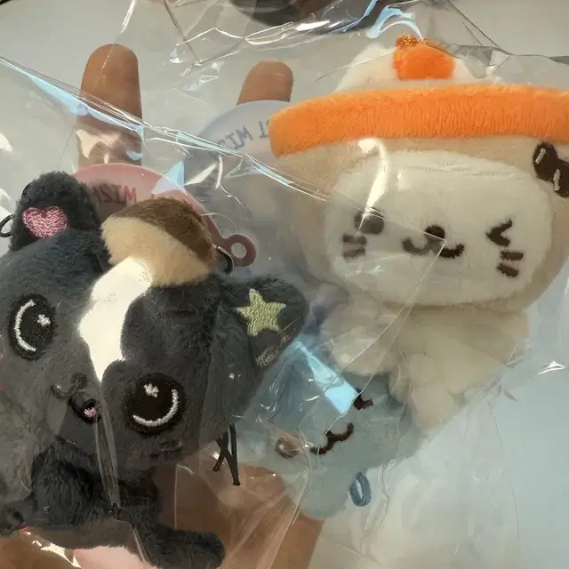 급처)) 엔시티위시 응원봉 키링 버블냥 양도