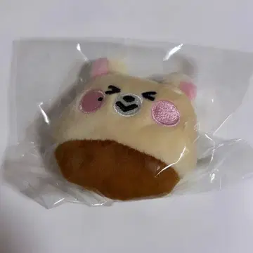 NCT DREAM Dreamiez 팝업 지성 랜덤 배지