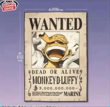 몽키 D 루피 원피스 수배 패턴 담요