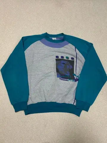 90s 푸마 라이온 그래픽 트레이닝복