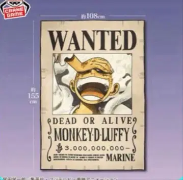 [몽키 D 루피] 원피스 수배 패턴 담요