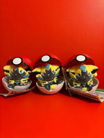 쁘띠 몬스터볼 케이스 제라오라