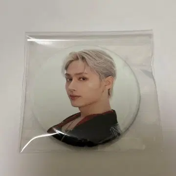 SEVENTEEN DREAM 캔뱃지 준