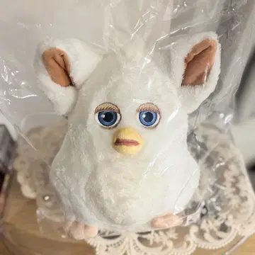 다이토 복권 퍼비 라스트 원상