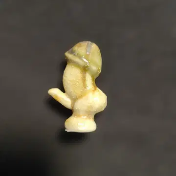 침침갓 미니 소스 포함 자라메