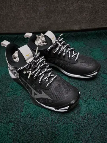 TEAM SHACHI x MIZUNO 콜라보 신발