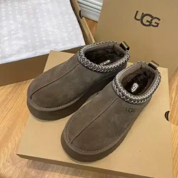 태즈먼 남성용 24cm