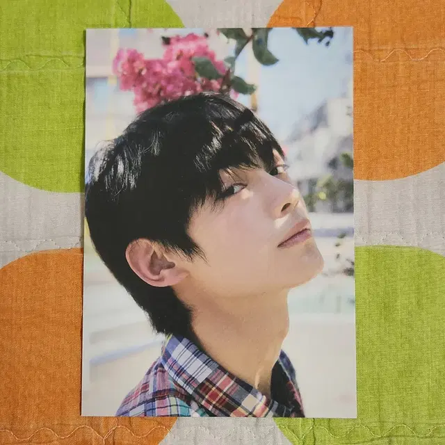 투어스 TWS 한진 뮤직코리아 앨범 엽서 포카 미공포 신유도훈영재지훈경민