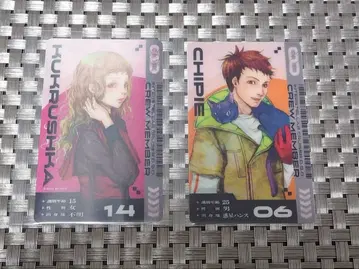 그노시아 시피 쿠쿠루시카