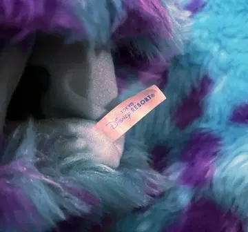 디즈니 리조트 샐리 레그 워머