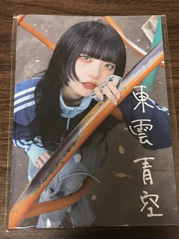 시노노메 아오조라 생탄 굿즈 2023 사진집