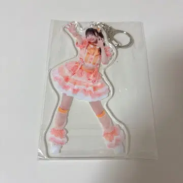 iLife 작은 곰 마무 아크릴 키링