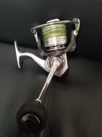 12 카탈리나 4500