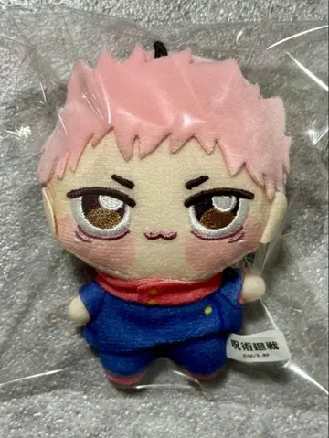 9 이타도리 유지 쵸피누이 푸치 주술회전