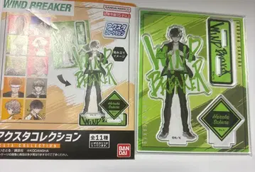 WIND BREAKER 아크릴 스탠드 컬렉션 사쿠라 하루카