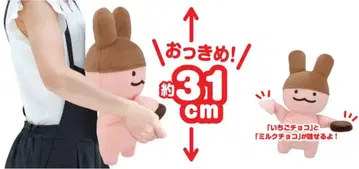 푹신푹신! 아폴로 봉제 인형 아폴로 55주년