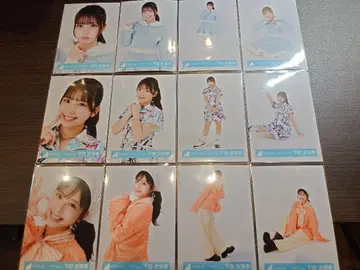 히나타자카 시모다 이즈키 브로마이드 12종 컴프