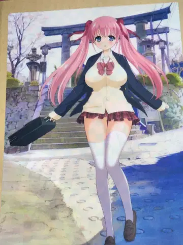 하라무라 노도카 A4 클리어 파일 사키 시리즈 게이머즈