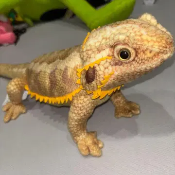 리얼 애니멀즈 아구아티스 (약 50cm)