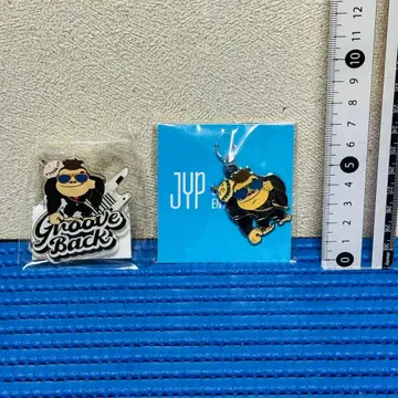 J.Y. Park 키링 아크릴 배지 세트 y