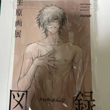 슬로우 데미지 생원화전 도록 스로다메 Slow Damage